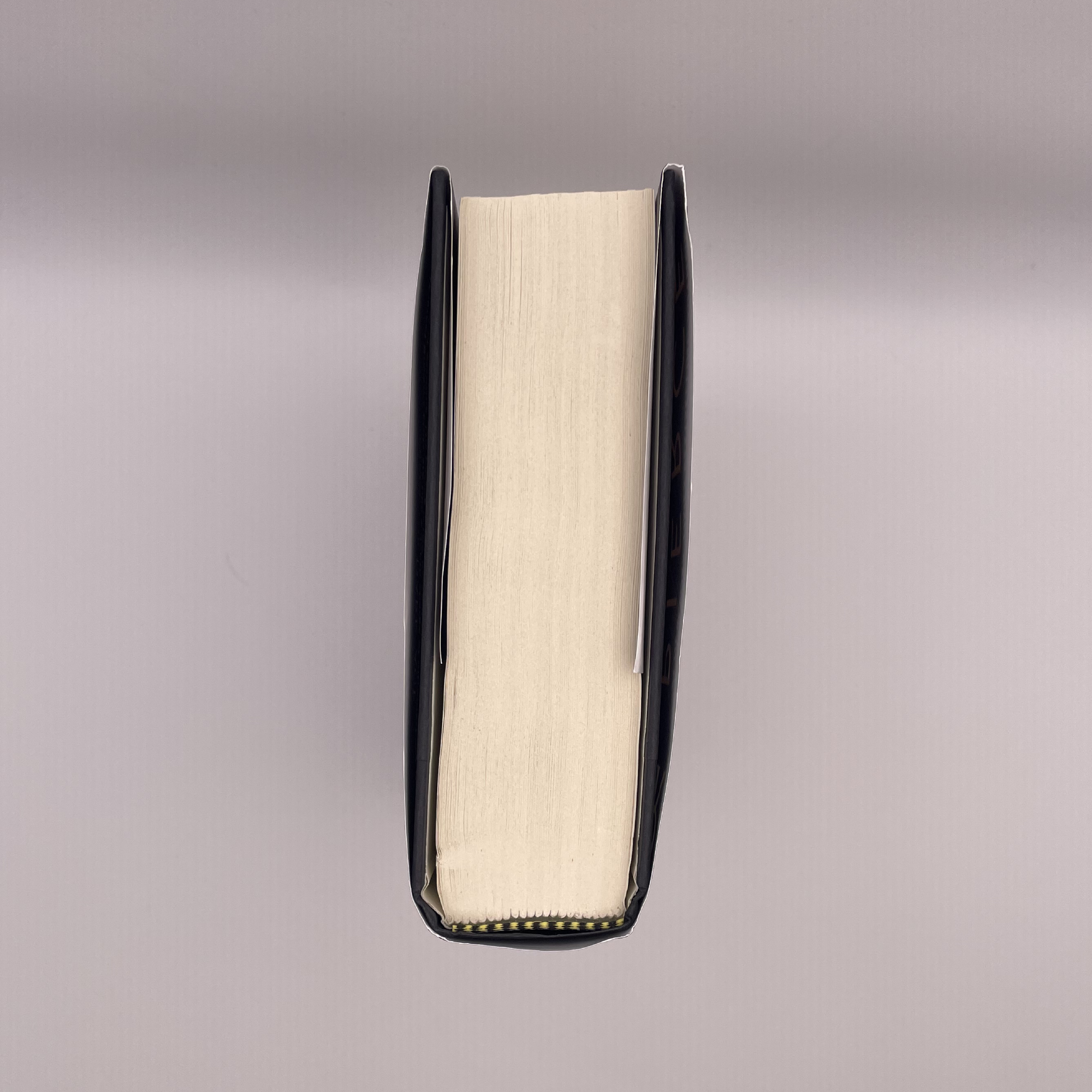 Light Bringer. First Edition. Signed