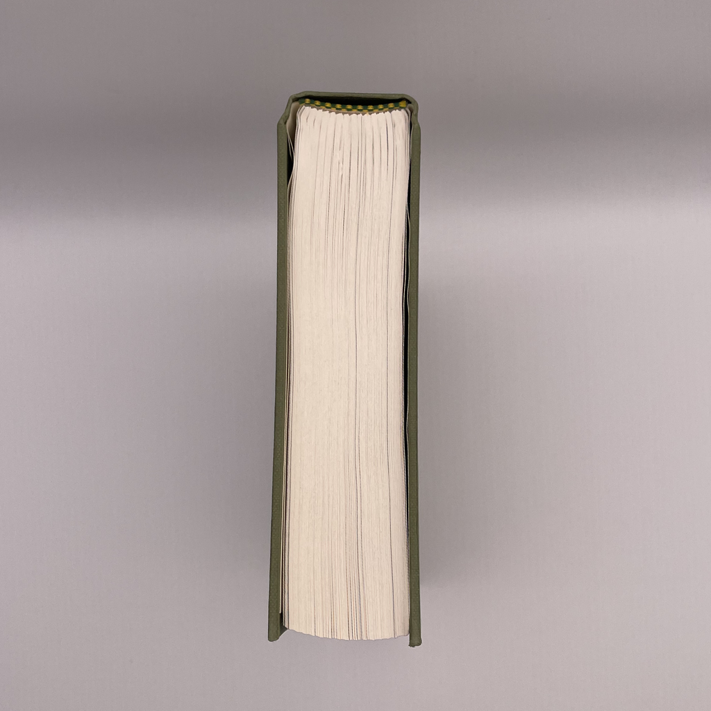 Elantris. First Edition.